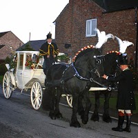 K R M Horse Drawn Carriage Services 1100883 Image 4